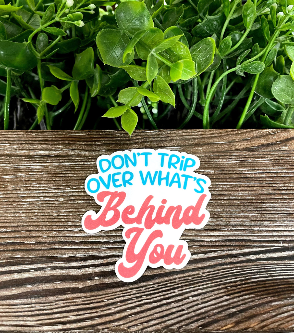 Don't Trip Over What's Behind You, Die Cut Vinyl Sticker, Boho Fun,