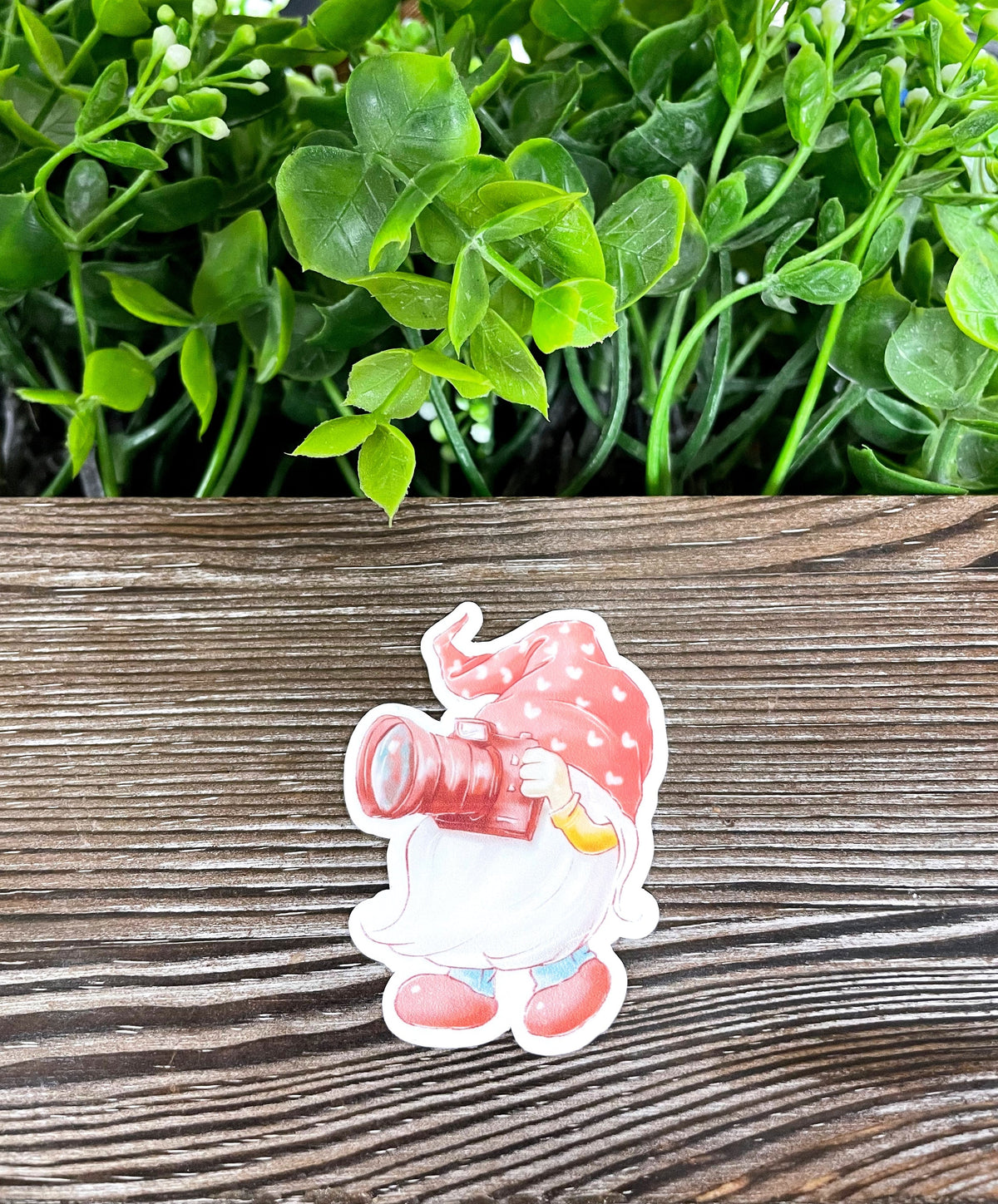 Watercolor Photographer Gnome, Die Cut Vinyl Sticker, Boho Fun, Water