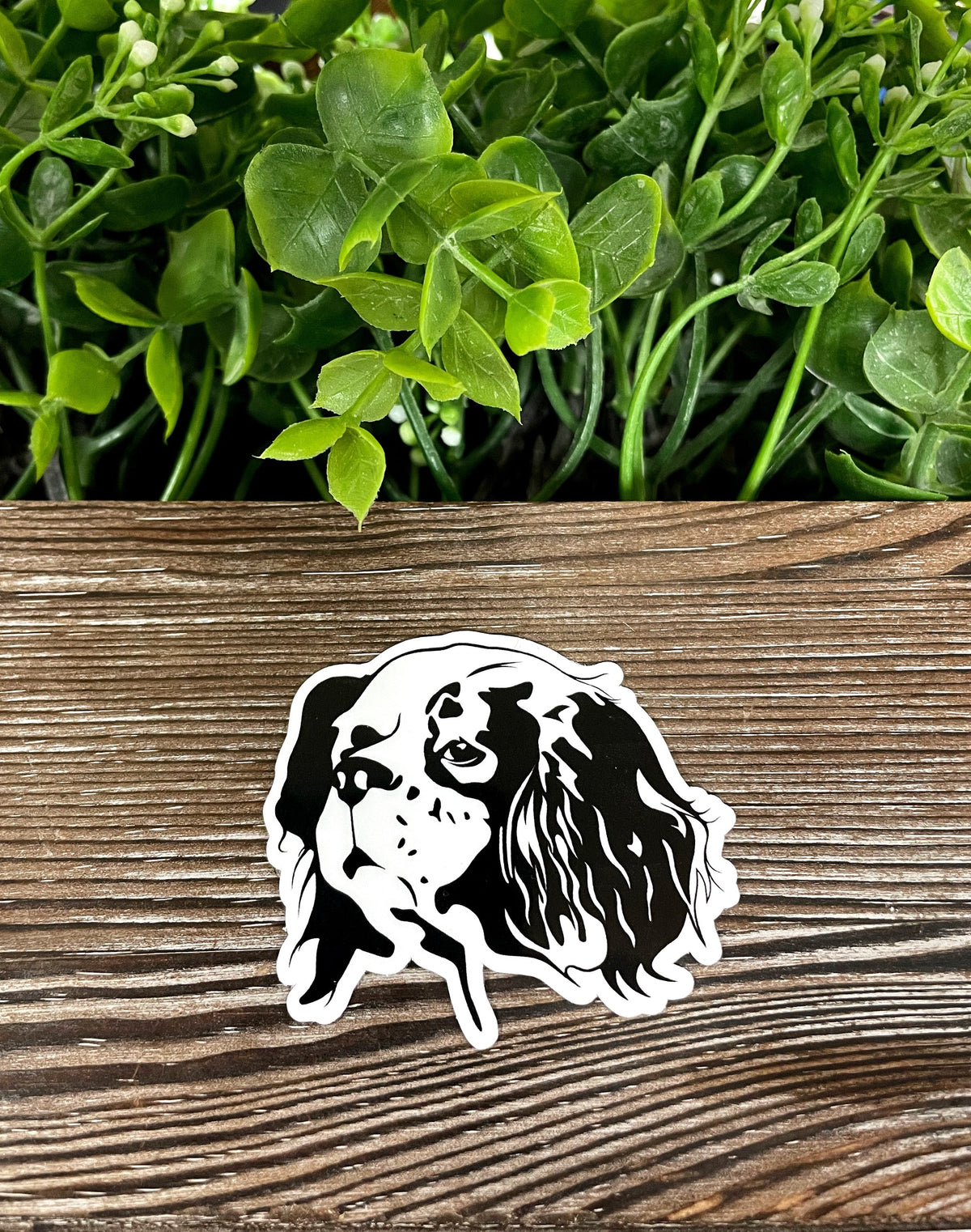 Cavalier King Charles Sticker, Dog Breed |Sticker or Magnet