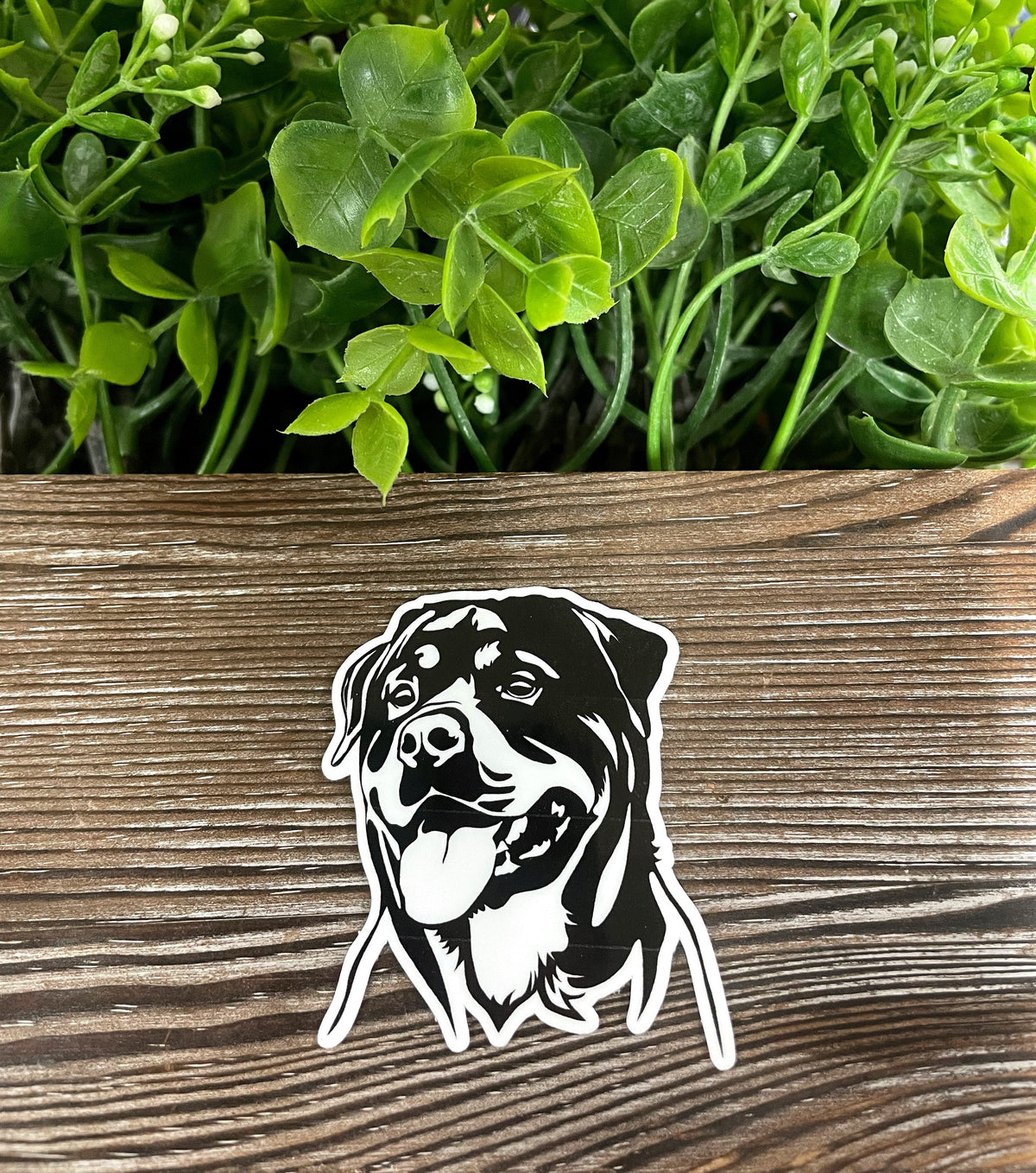 Rottweiler Sticker |Sticker or Magnet