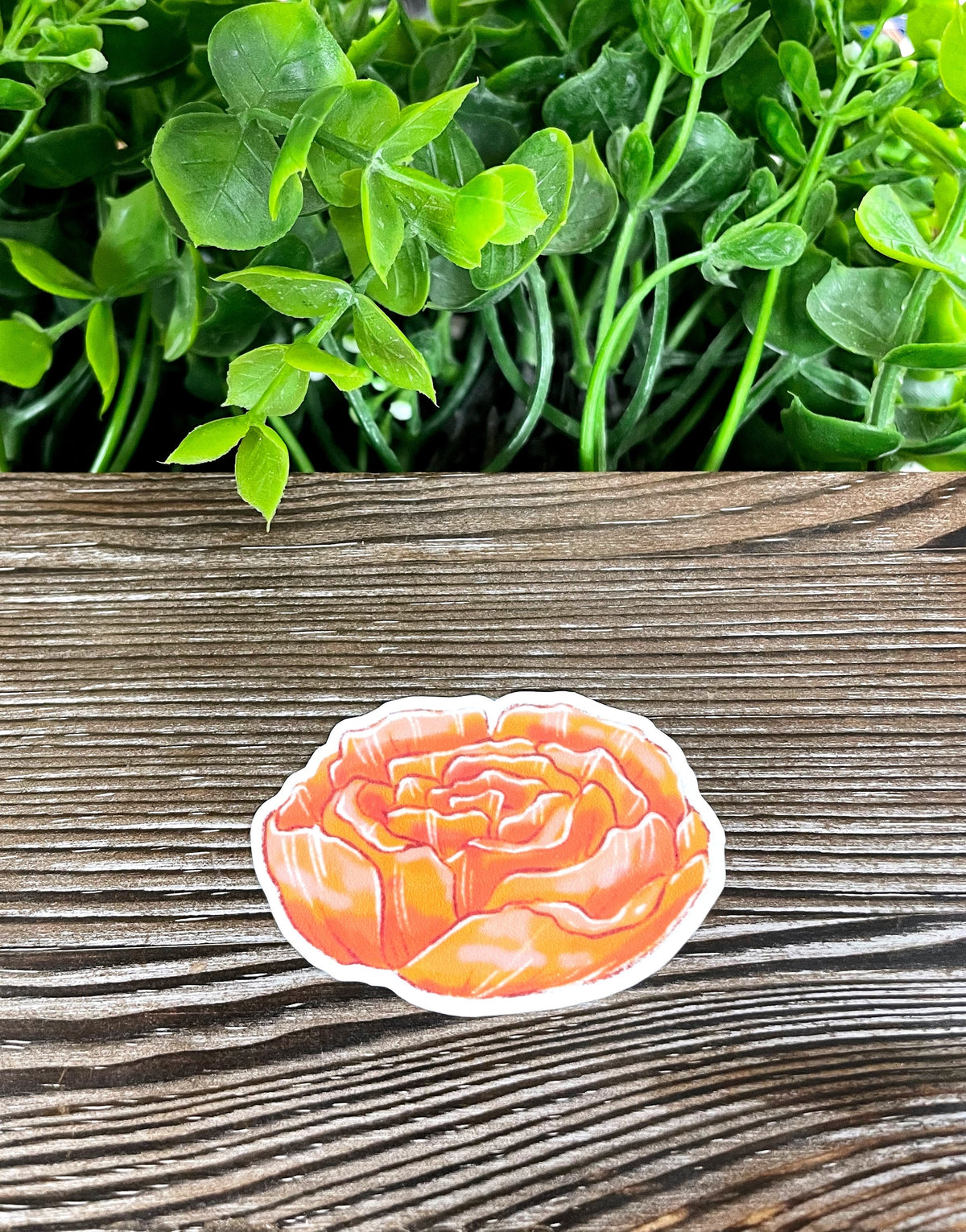 Blush Orange Peony Flower |Sticker or Magnet