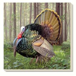 Counter Art CART88494 Game Birds Turkey Coasters- Set of 4