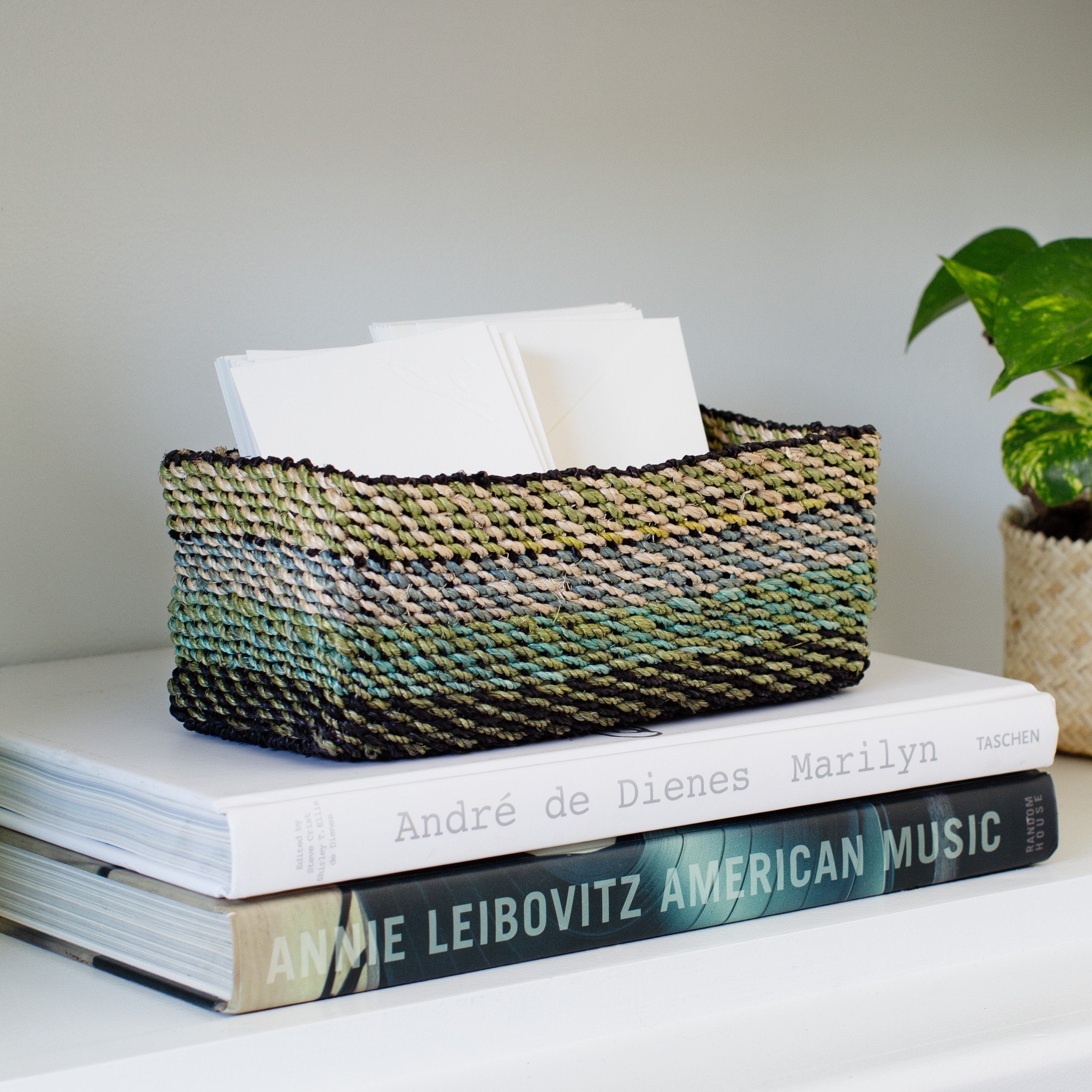 All Purpose Storage Tray | Light Green - Horizon Bliss