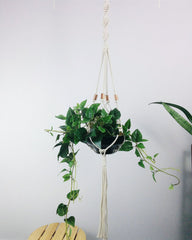 Macrame plant hanger, hanging planter, copper