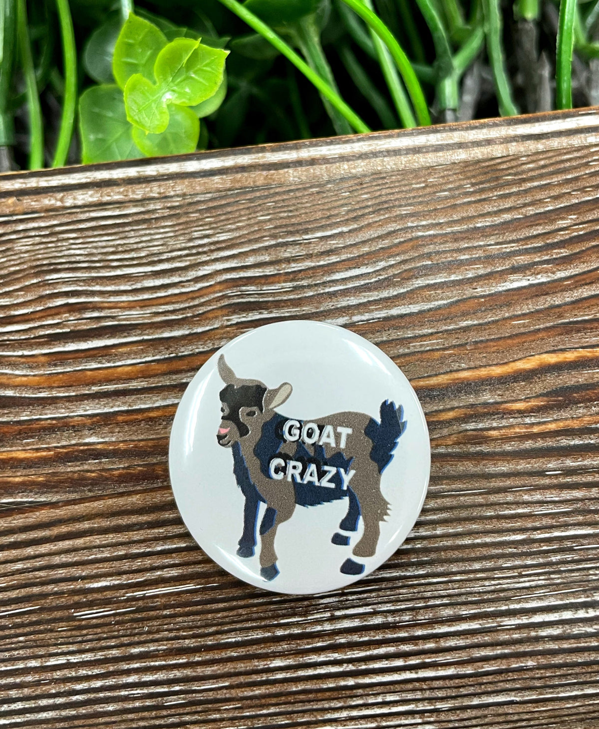 Goat Crazy Graphic Art Button / Pin 1.25”